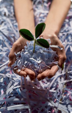 Section 3 Tile 4 Image